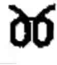 Fig. 200 - DEVICE AND METHOD FOR INPUTTING CHINESE CHARACTERS, AND CHINESE CHARACTER SEARCH METHOD USING SAME