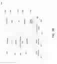 Fig. 04 - Multi-window keyboard