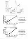 Fig. 11 - Compilation and runtime methods for executing algorithmic packet processing programs on multi-table packet forwarding elements