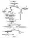 Fig. 09 - System and method for low latency multi-functional pipeline with correlation logic and selectively activated/deactivated pipelined data processing engines