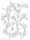 Fig. 03 - Optionalization and fuzzy search on online social networks