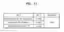 Fig. 13 - CIRCUIT DESIGN METHOD AND SIMULATION METHOD BASED ON PROCESS VARIATION CAUSED BY AGING