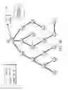 Fig. 20 - Verifying network attack detector effectiveness