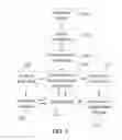 Fig. 03 - Non-invasive multimodal biometrical identification system of animals