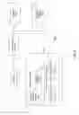 Fig. 08 - Pseudo-CT generation from MR data using tissue parameter estimation
