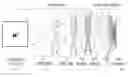 Fig. 01 - Acceleration of convolutional neural network training using stochastic perforation