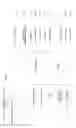 Fig. 14 - ONLINE ENTERTAINMENT AND BRAND MATCHING