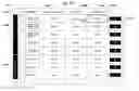 Fig. 57 - Platform for providing customizable user brand experiences, sponsorship junctions, and conversion attribution