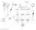 Fig. 01 - Central limit order book automatic triangulation system
