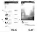 Fig. 11 - System and method for using social network content to determine a lifestyle category of users