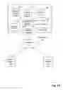 Fig. 02 - Following data records in an information feed