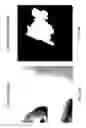 Fig. 06 - Digital image blemish removal