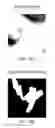 Fig. 20 - Digital image blemish removal