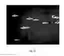 Fig. 18 - System for the identification and quantification of helminth eggs in environmental samples