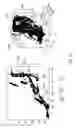 Fig. 14 - Device, method and computer program for detecting optical image data of a patient positioning device