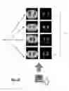 Fig. 05 - VOLUMETRIC TEXTURE SCORE