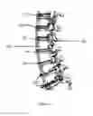 Fig. 03 - Method of obtaining and analyzing data from an upright MRI from the spinal region of a subject