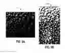 Fig. 05 - SYSTEMS AND METHODS FOR GRADING THE APPEARANCE OF SEEDS
