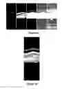 Fig. 08 - Borehole log data processing methods