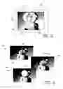 Fig. 03 - LOCALIZED BRUSH STROKE PREVIEW