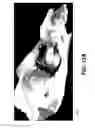 Fig. 13 - OPERATOR INTERFACE FOR 3D SURFACE DISPLAY USING 2D INDEX IMAGE