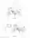 Fig. 16 - Real-time customization of a 3D model representing a real product