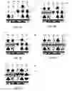 Fig. 04 - Gaming systems, apparatuses and methods employing partial winning combination features