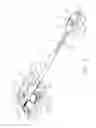 Fig. 06 - IMPROPER SPINAL CURVATURE WARNING APPARATUS