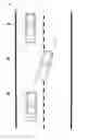 Fig. 01 - DRIVE ASSIST APPARATUS AND STORAGE MEDIUM STORING PROGRAM FOR EXECUTING DRIVE ASSIST PROCESS