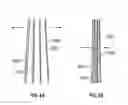 Fig. 07 - Stringless bowed musical instrument