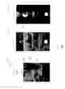 Fig. 04 - Storyline experience