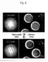 Fig. 05 - Method of forming microsphere having structural color