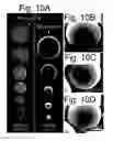 Fig. 08 - Method of forming microsphere having structural color