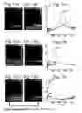 Fig. 11 - Method of forming microsphere having structural color