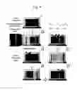 Fig. 05 - Method for analyzing color code encoded in magnetic structure