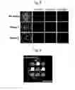 Fig. 08 - Method for analyzing color code encoded in magnetic structure