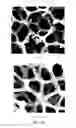 Fig. 10 - Continuous process for producing electrodes for supercapacitors having high energy densities