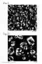 Fig. 04 - Method and apparatus for producing microporous metal foil