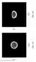 Fig. 10 - Sample analysis systems and methods of use thereof