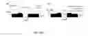 Fig. 02 - Laser-induced forming and transfer of shaped metallic interconnects