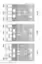 Fig. 09 - Faceted structure formed by self-limiting etch