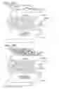 Fig. 40 - Light-emitting device
