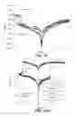 Fig. 27 - Selector Elements
