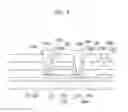 Fig. 06 - Organic light-emitting diode display