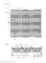 Fig. 28 - Display device, electronic apparatus, and method of fabricating the display device