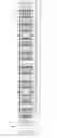 Fig. 03 - Semiconductor device and method of manufacturing the same