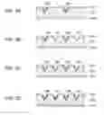Fig. 04 - Back-contact solar cell and method for manufacturing the same