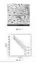 Fig. 08 - ALLOY SYSTEM WITH ENHANCED SEEBECK COEFFICIENT AND PROCESS FOR MAKING SAME