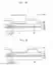 Fig. 07 - Method of manufacturing an organic light emitting display panel