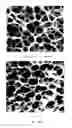 Fig. 08 - Continuous process for producing electrodes and alkali metal batteries having ultra-high energy densities
